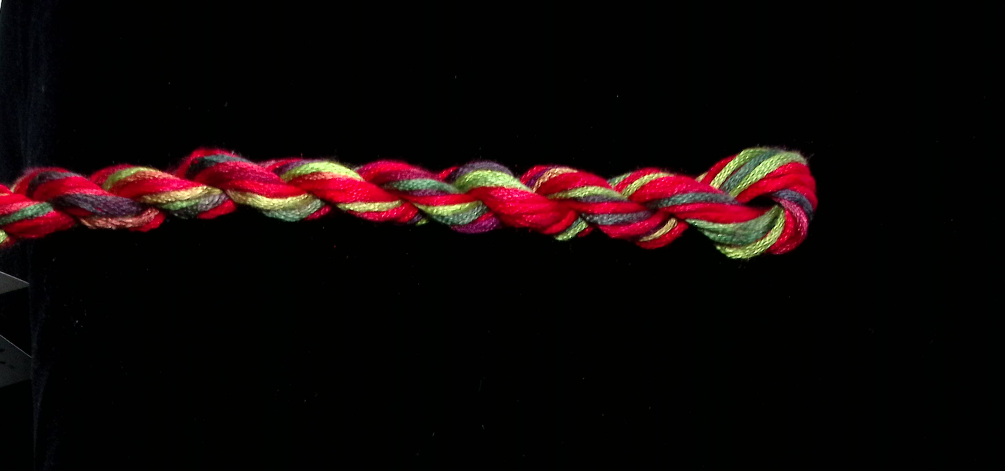 025 Holiday Waterlilies