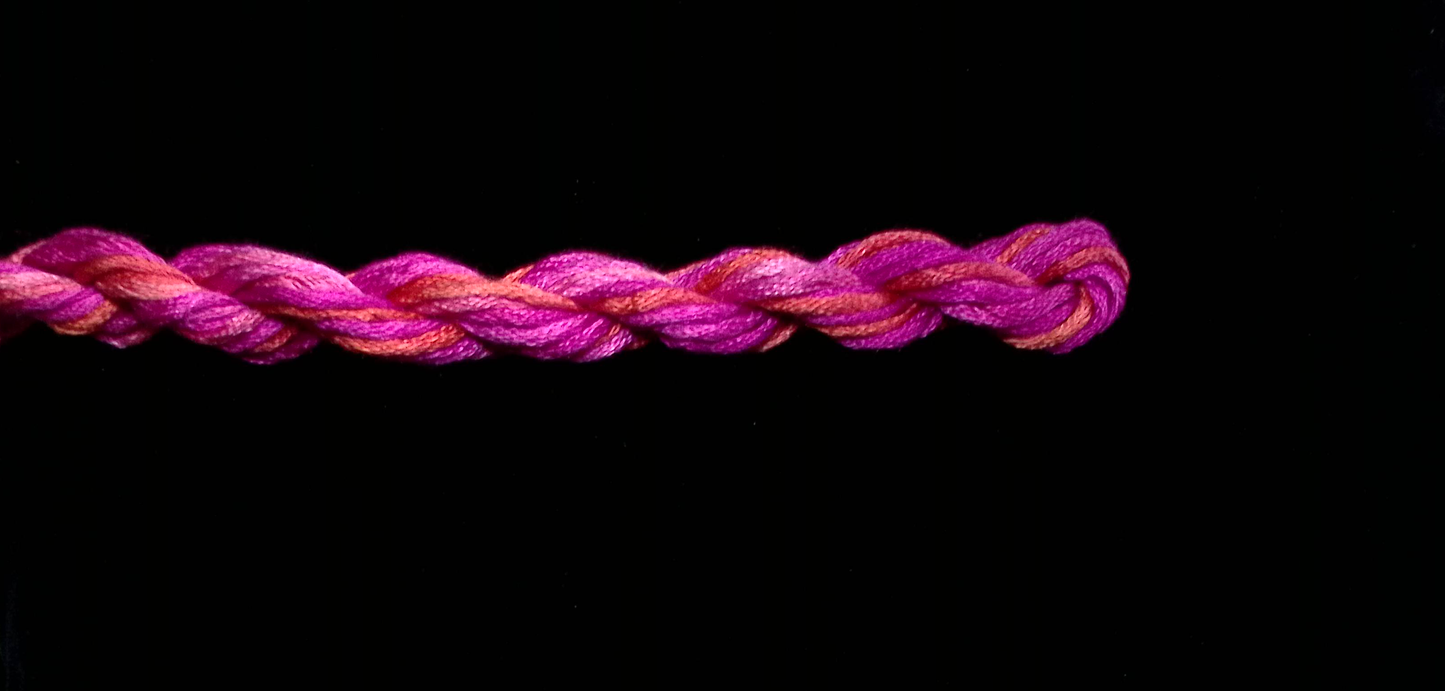 084 African Sunset Waterlilies