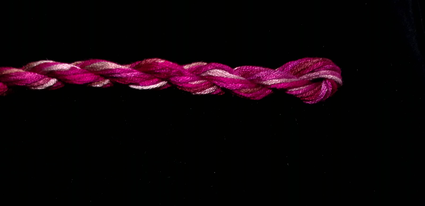 101 Cherry Waterlilies