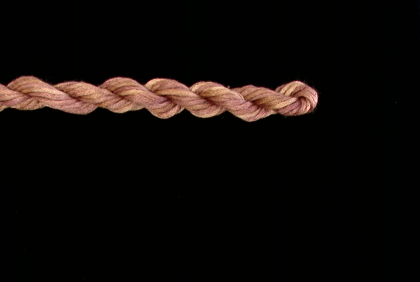 189 Gingersnap Waterlilies