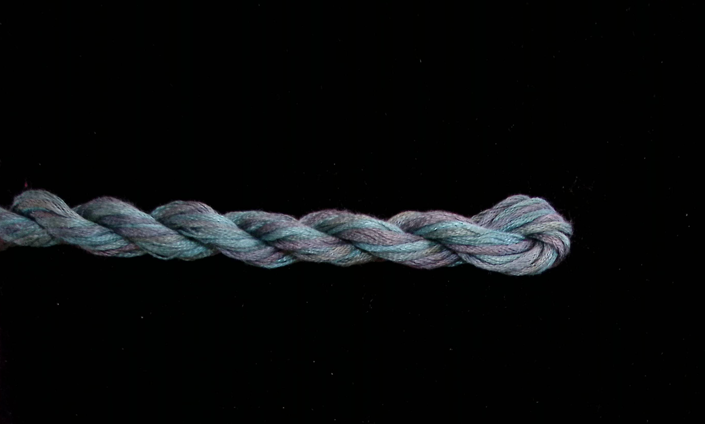 194 South Pacific Waterlilies