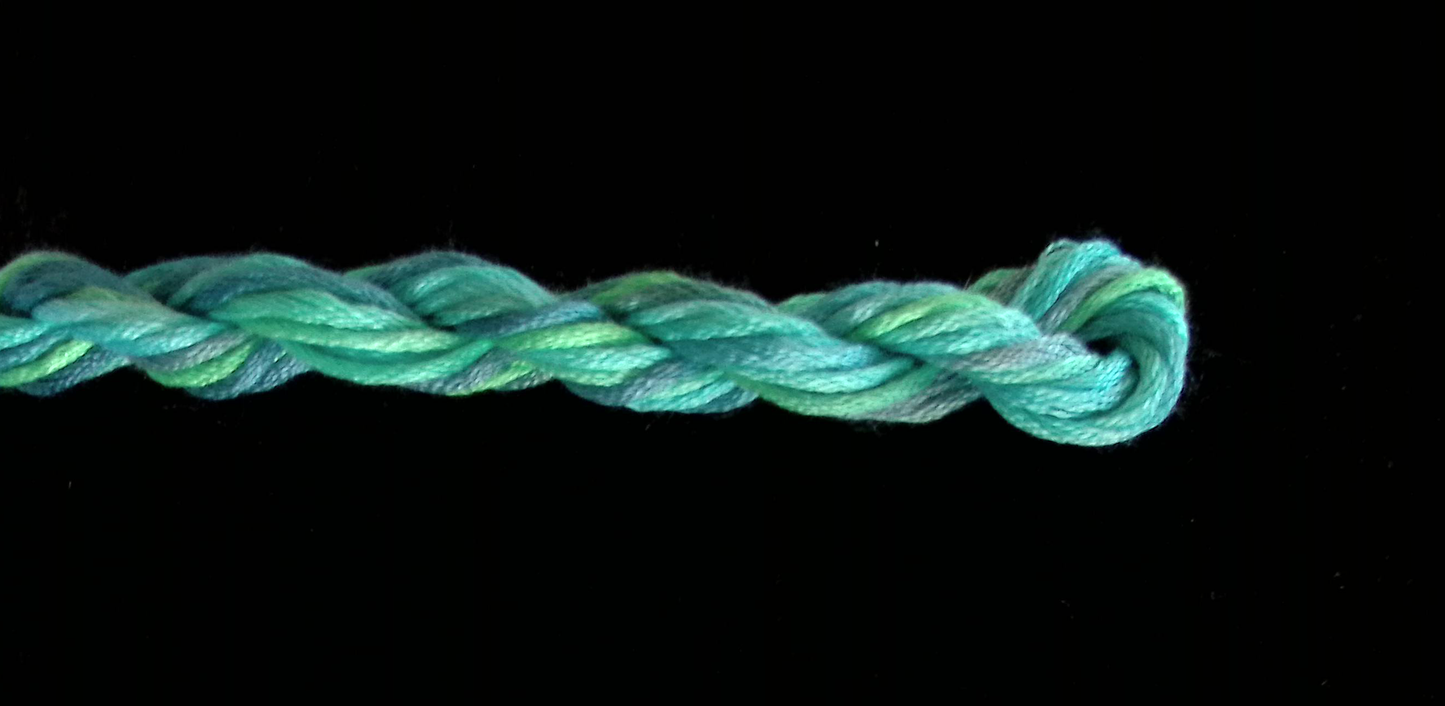 207 Bermuda Reef Waterlilies