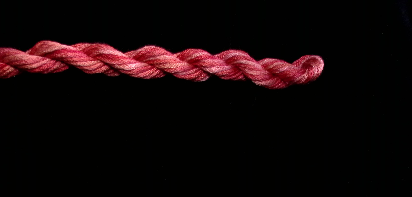 217 Chili Waterlilies