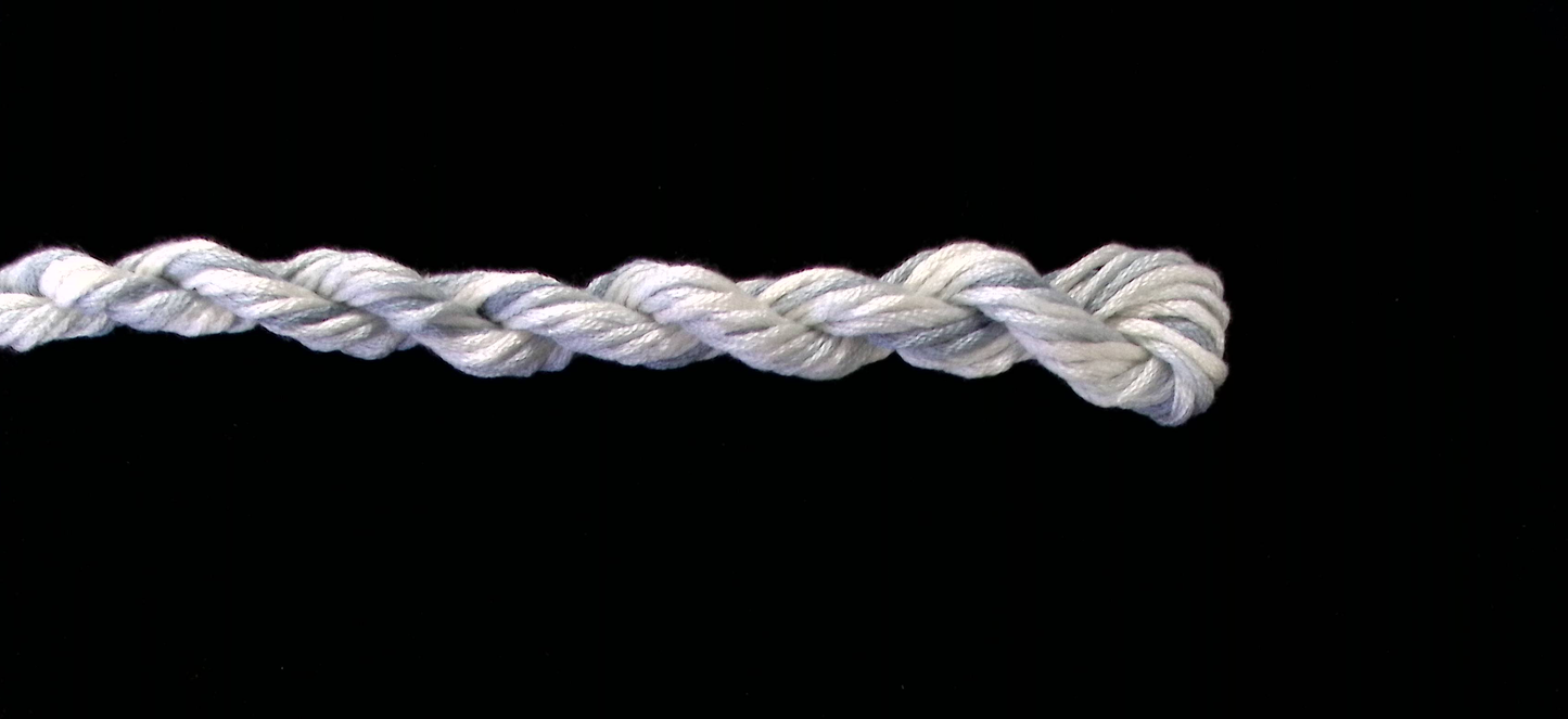 303 Ticking Waterlilies