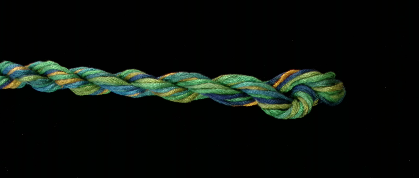 310 Parrot Waterlilies