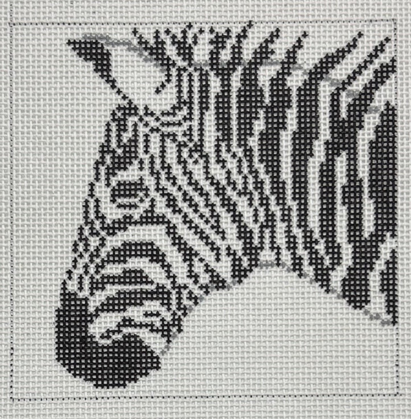 CO-46 Zebra on White