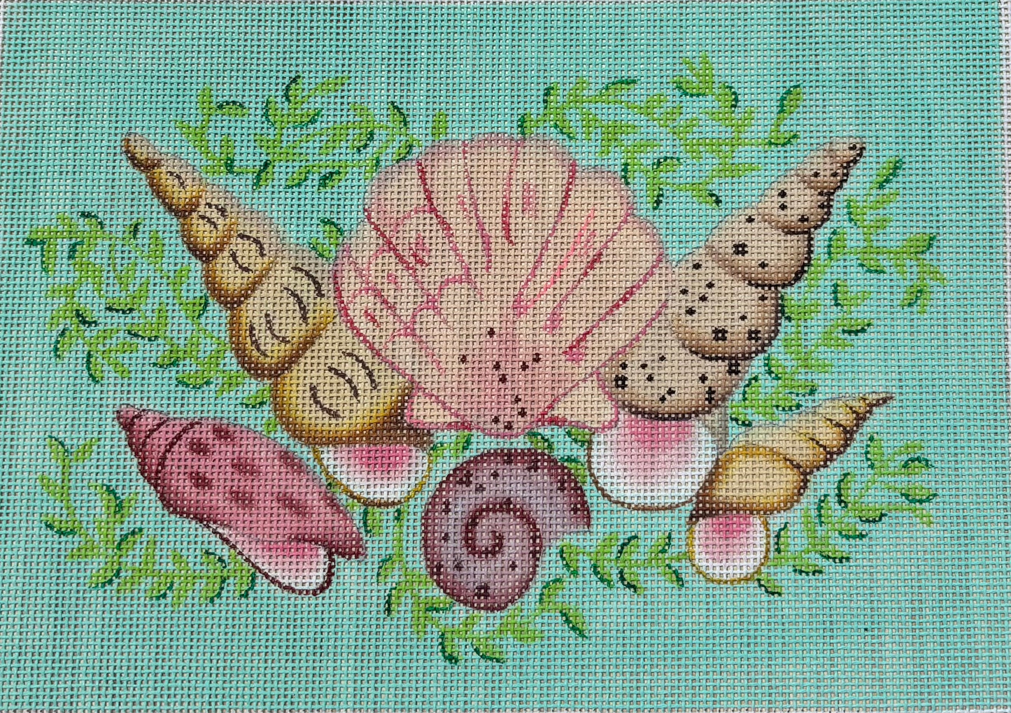 CL-27 Mixed Shells on Aqua