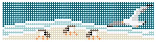 TSS-105 Shore Birds Belt