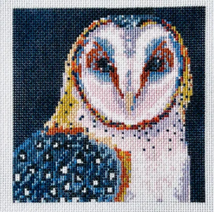 TA1039 Mini Barn Owl