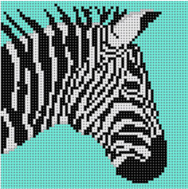CO-46D Zebra on Teal