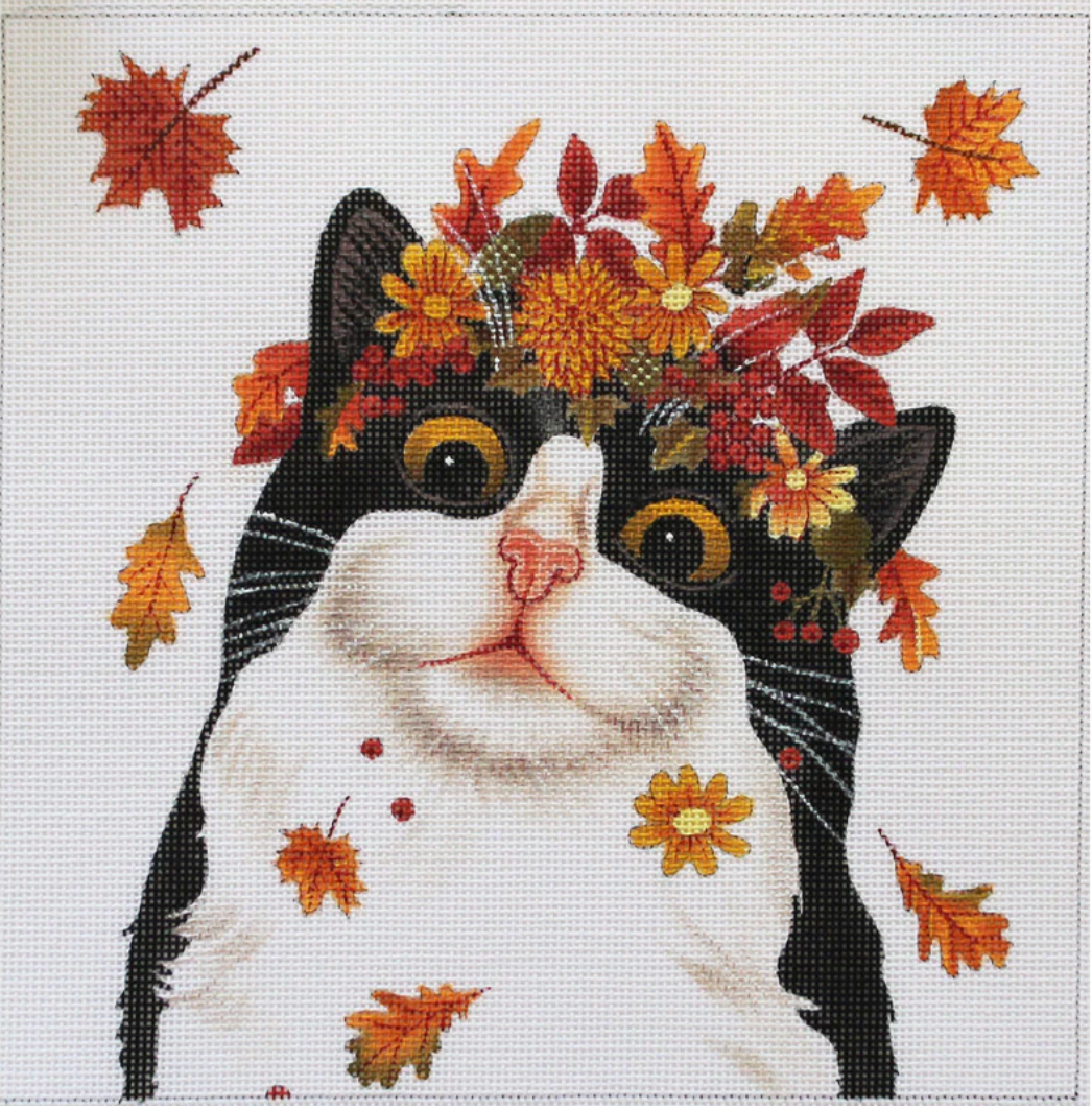 VM1719 Autumn Cat