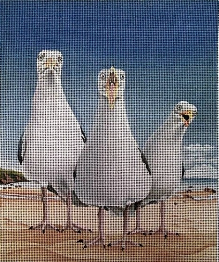 VM1701-13 Beach Boys