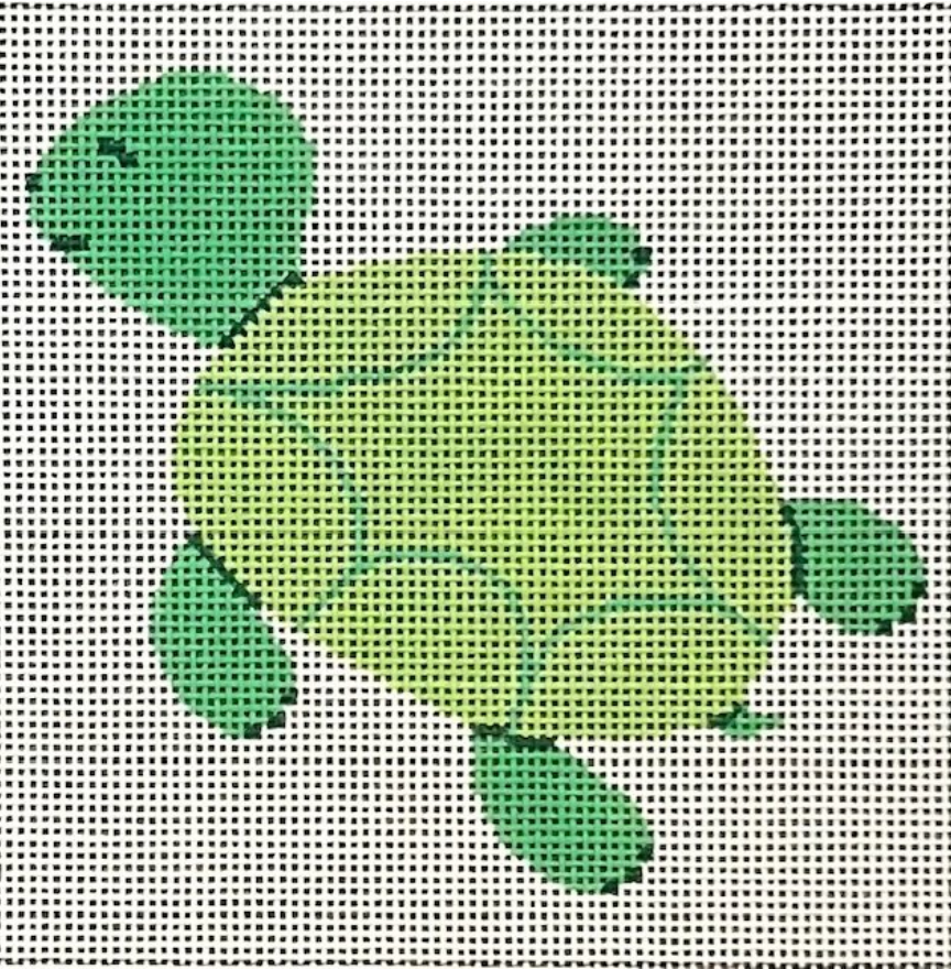 ASIT542 Green Turtle