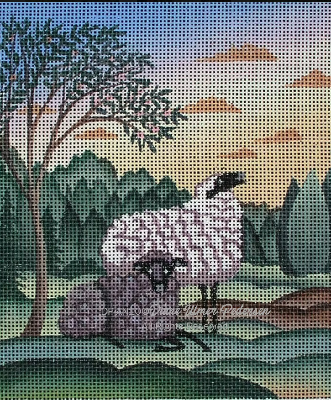 DP-AN13 Two Morning Sheep