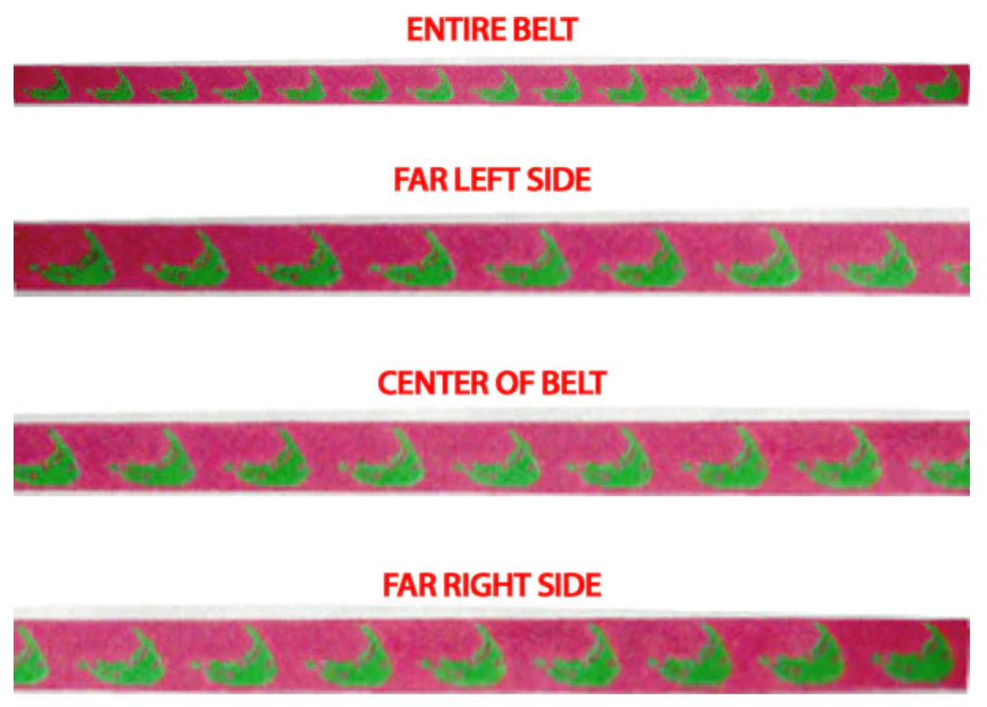 504 Nantucket Islands Belt - Pink and Green