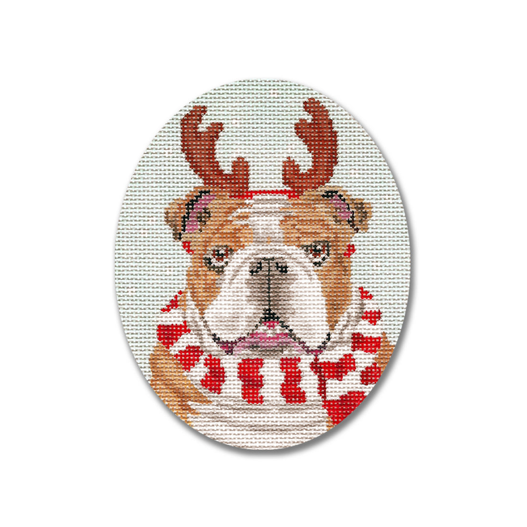 SC-XO75 Bulldog with Scarf