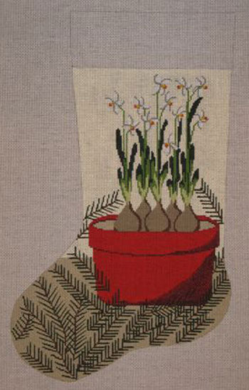 STK203 Paperwhite in Terra Cotta Pot Stocking