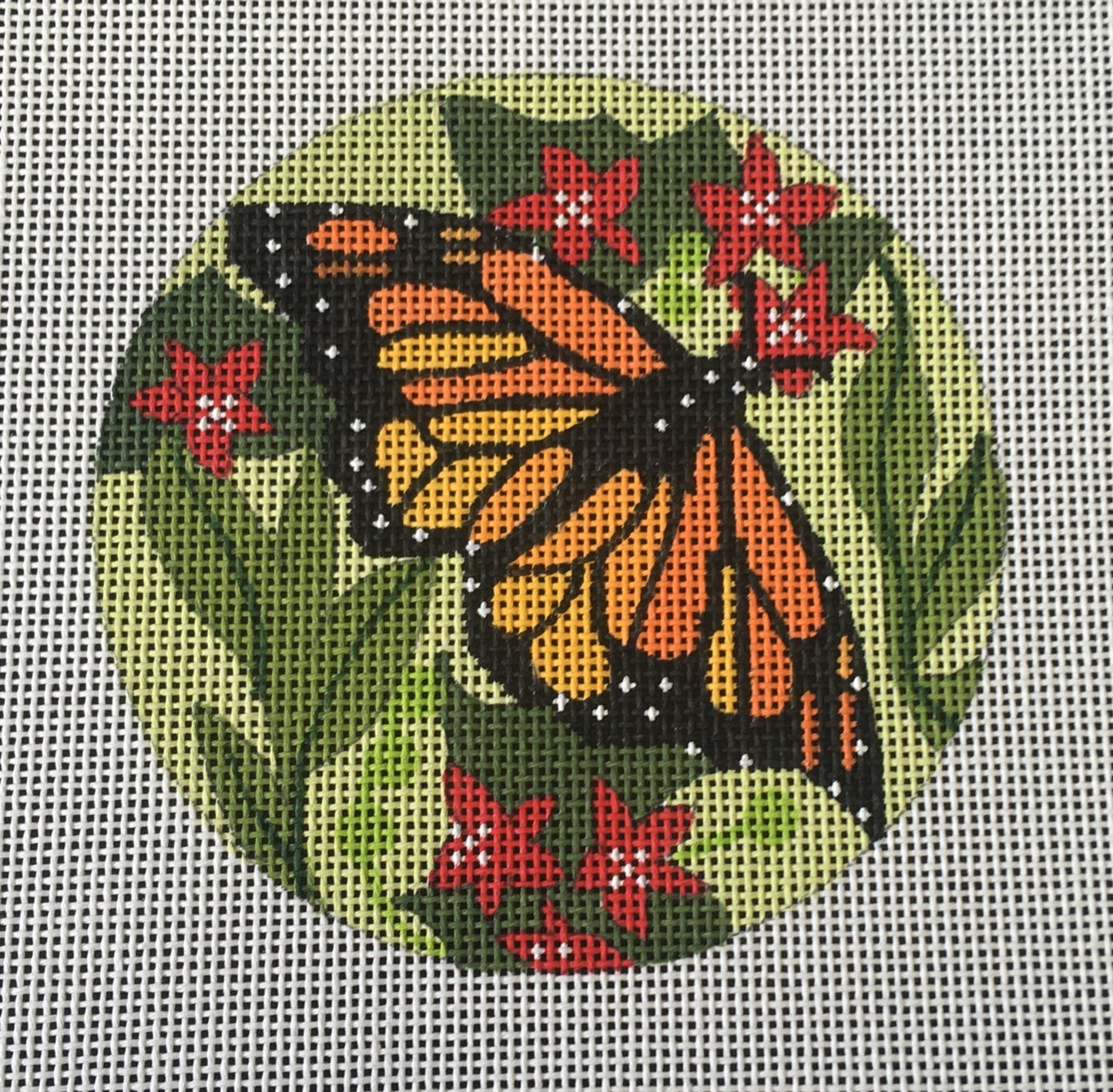 B105 Monarch Butterfly