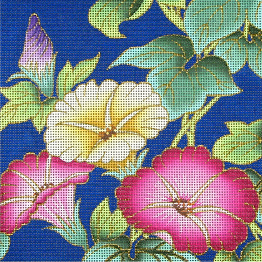 F-20 Morning Glories