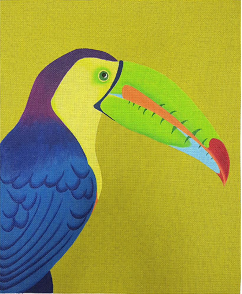 ZE642 Toucan Portrait