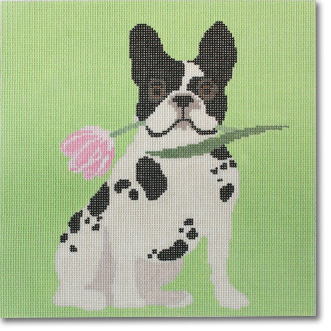 LRE-PL30 Flowery Frenchie