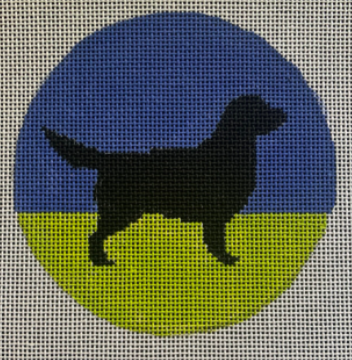 D-11 Golden Retriever