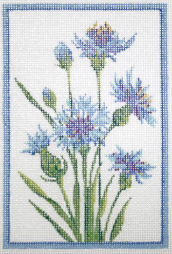 KCN401 Germany Cornflower
