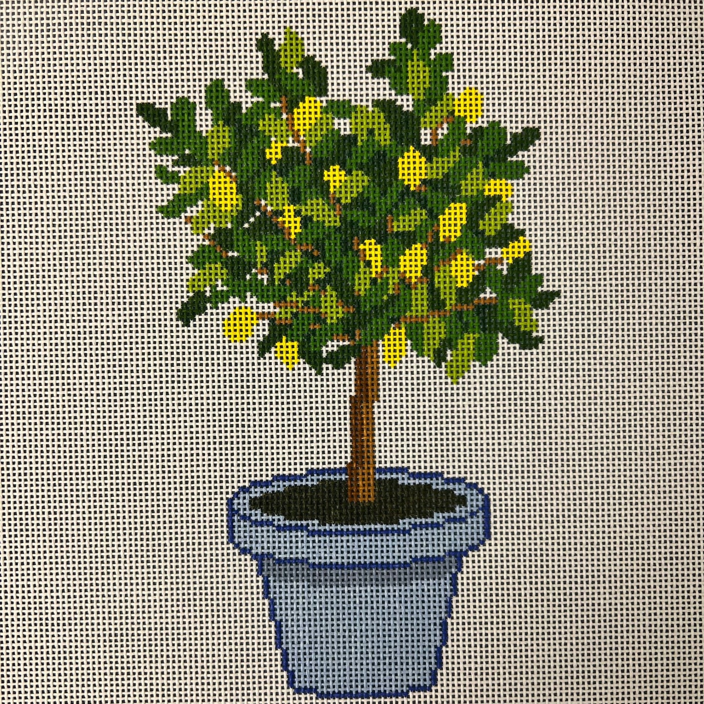 TSS-043 Lemon Tree