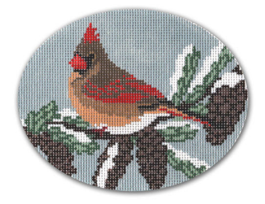 LRE-XO14 Female Cardinal