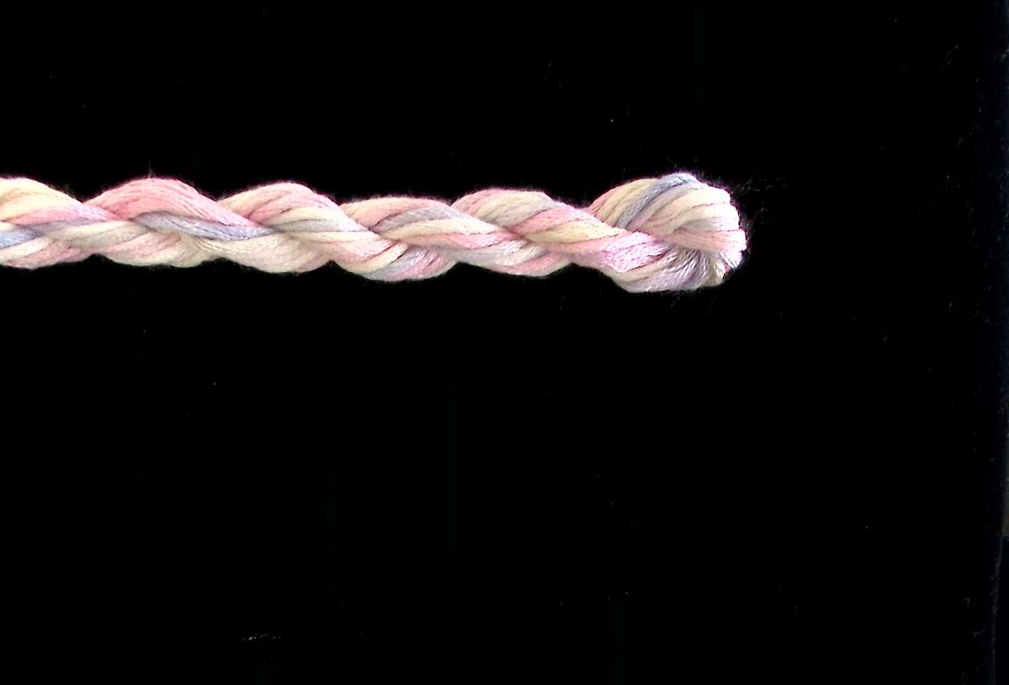 013 Peach Sherbet Waterlilies