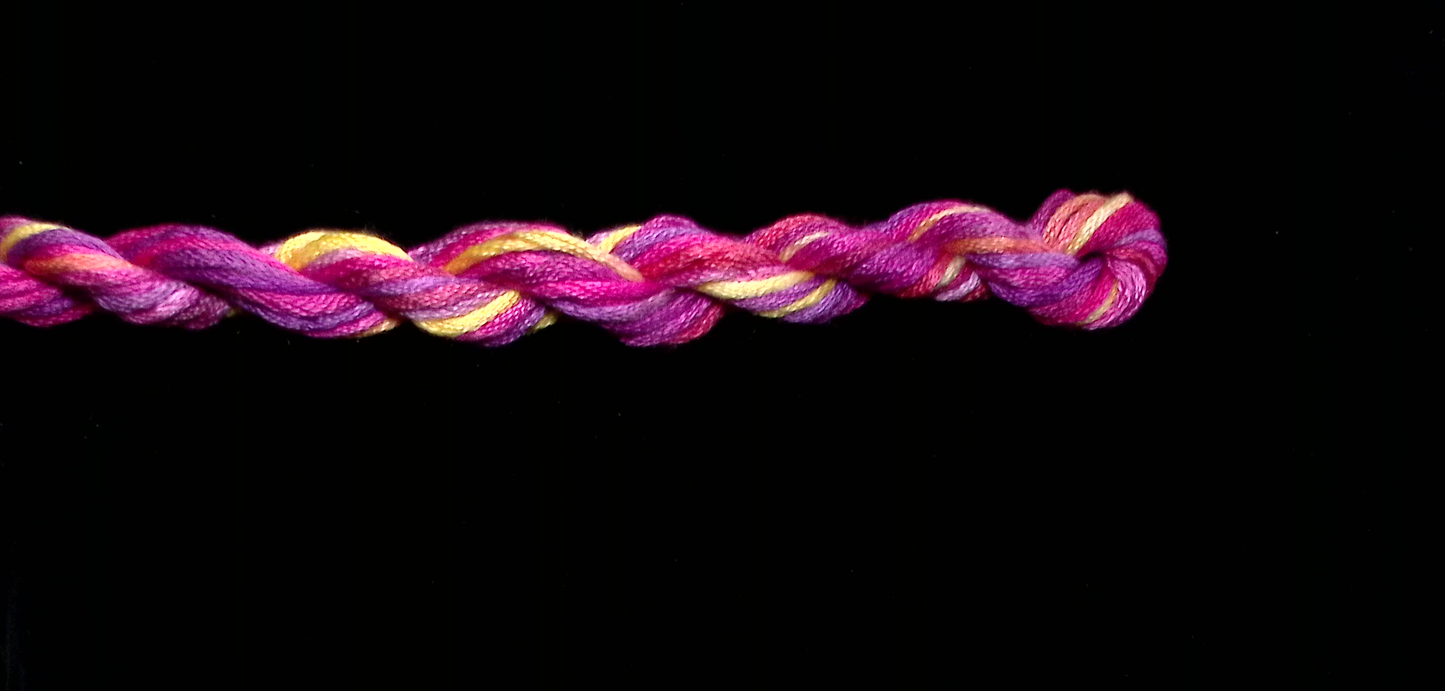 021 Peach Melba Waterlilies