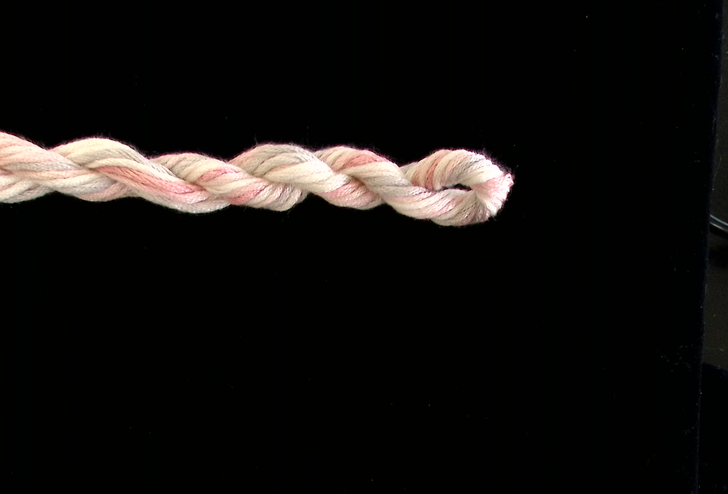 087 Cameo Waterlilies