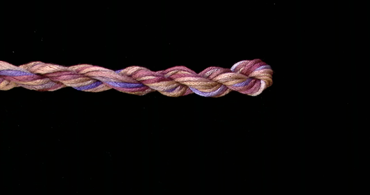 103 Nutmeg Waterlilies