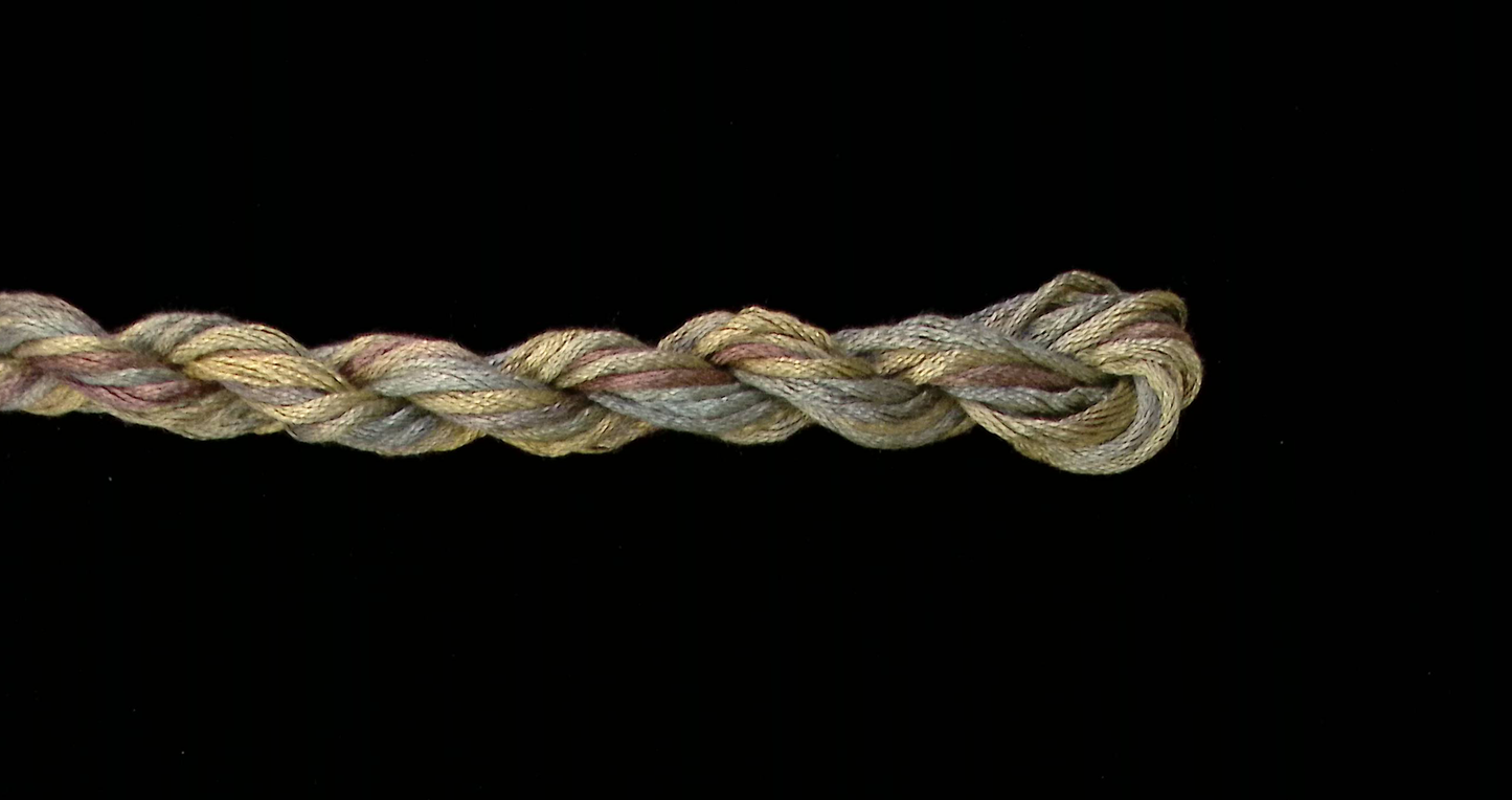 139 Kelp Waterlilies