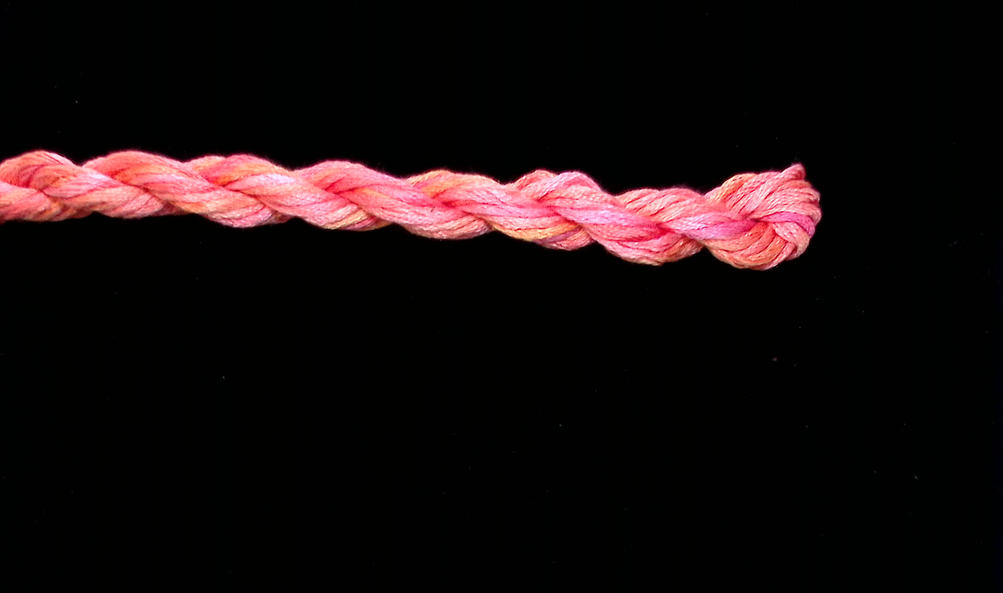 208 Tangerine Waterlilies