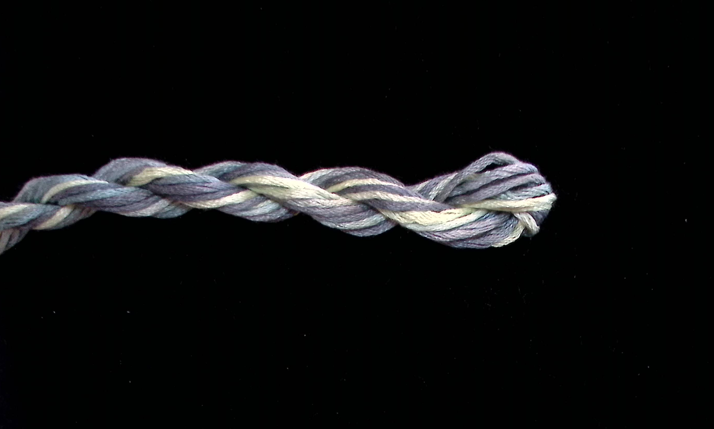 211 Cucumber Waterlilies