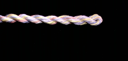 213 Sahara Waterlilies