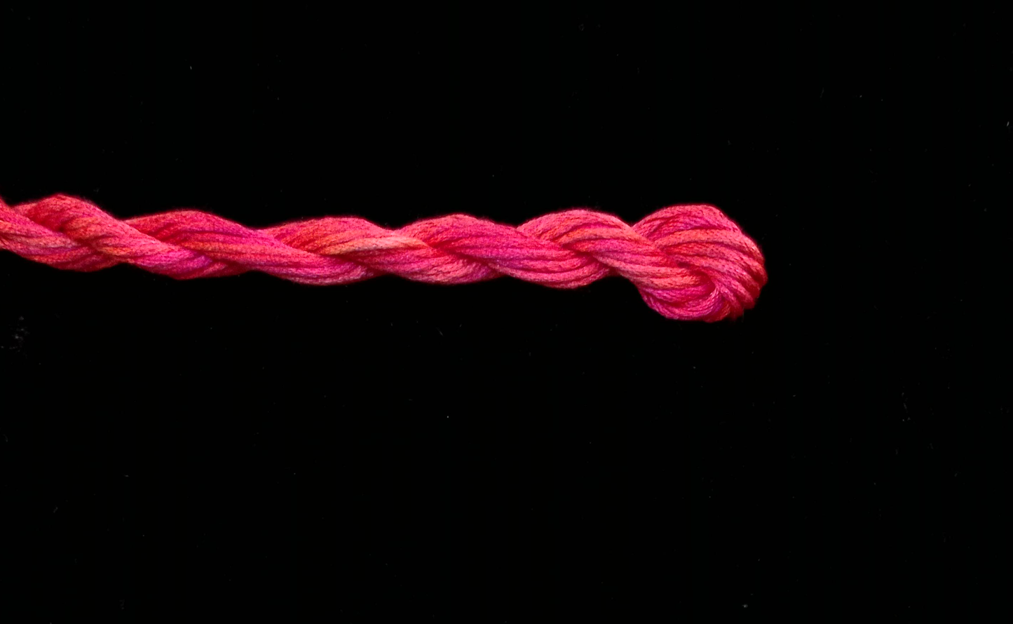 221 Bittersweet Waterlilies