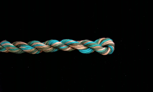 245 Savannah Waterlilies