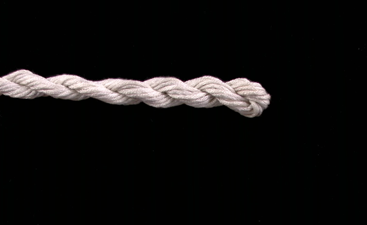 264 Oyster Waterlilies