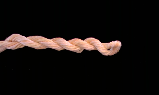 274 Summer Blonde Waterlilies