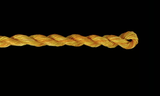 275 Daffodil Waterlilies