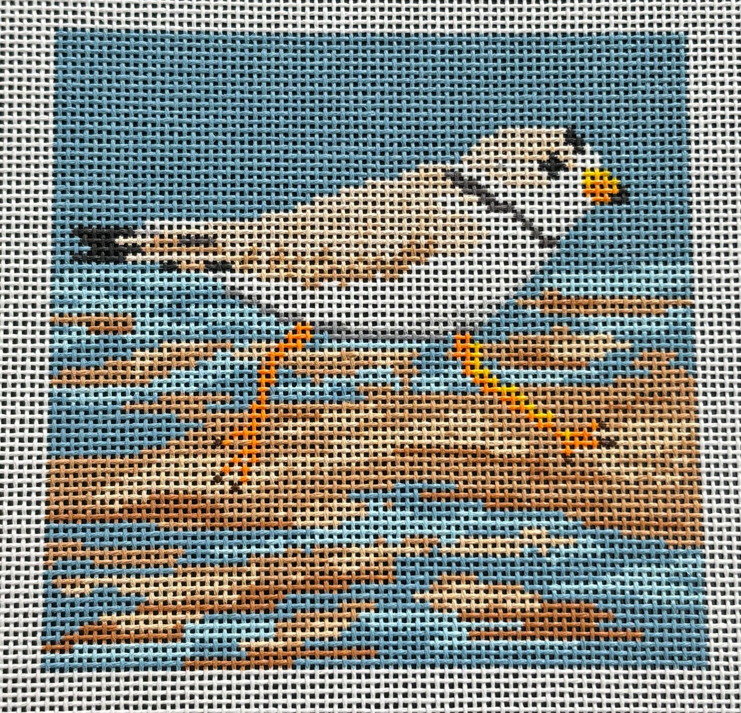 AOK148 Piping Plover