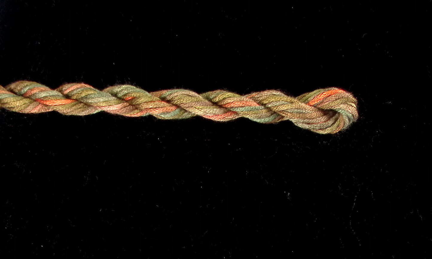 285 Sherwood Forest Waterlilies