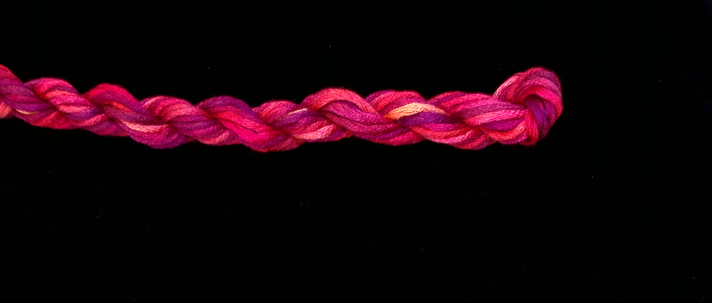 290 Mystery Mix Waterlilies