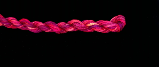 290 Mystery Mix Waterlilies