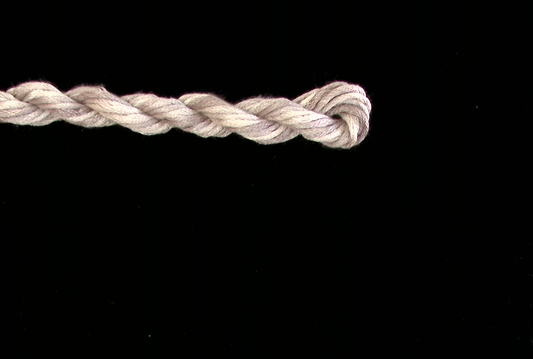 300 Belgian Stone Waterlilies