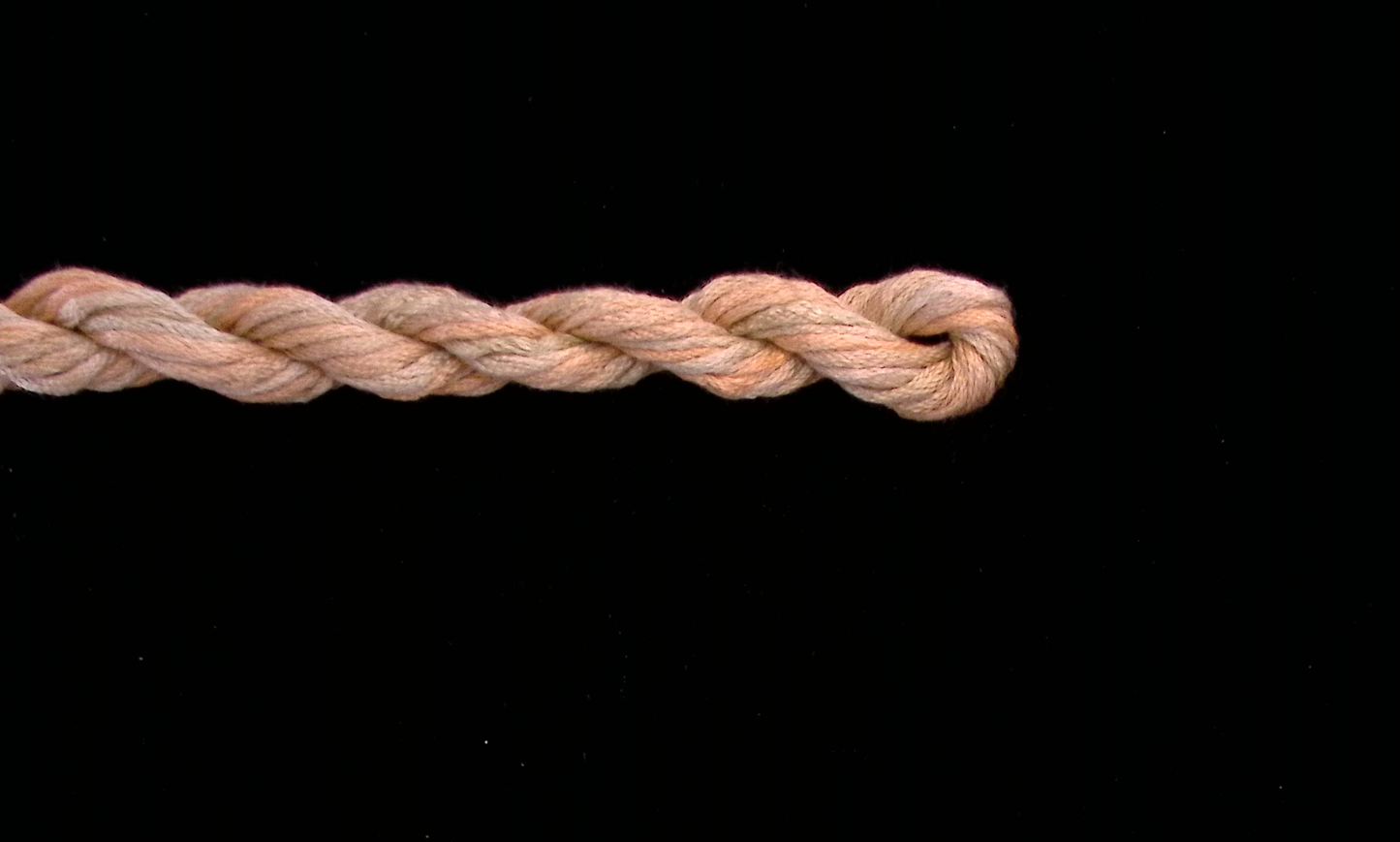 328 Old Gold Waterlilies