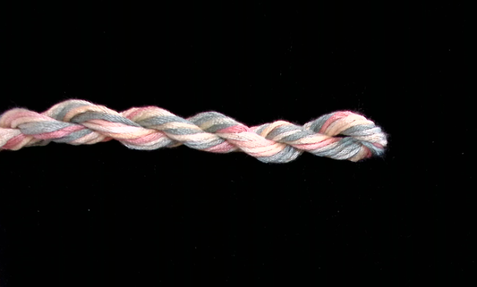 329 Early Fall Waterlilies