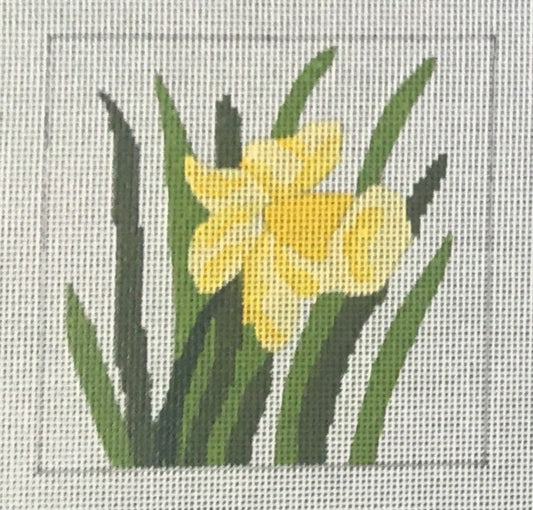 CTR106 Daffodil Coaster